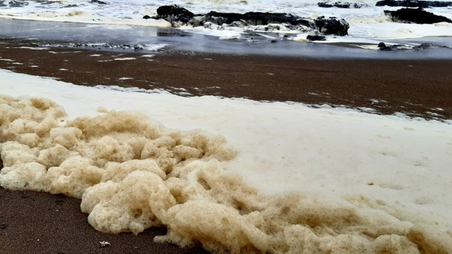 Alertan contaminación en el litoral de Tacna 